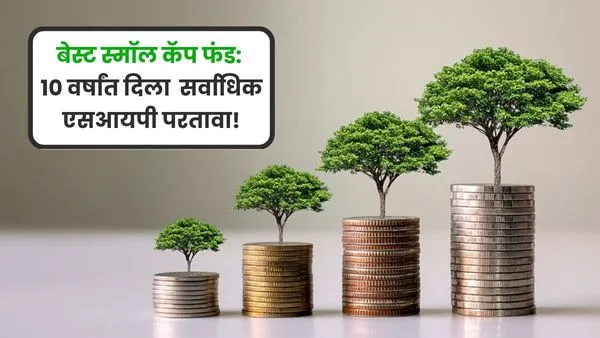 Best Small Cap Fund Highest SIP returns in 10 years!