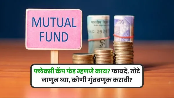 Flexi Cap Fund meaning in marathi